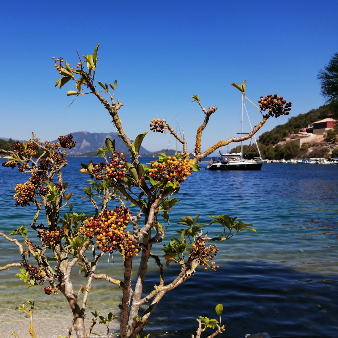 Beautiful bays overlooked from Ithaca