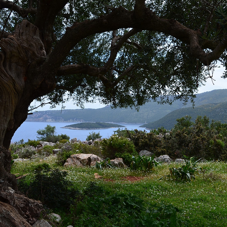 Catamaran Holidays Ithaca