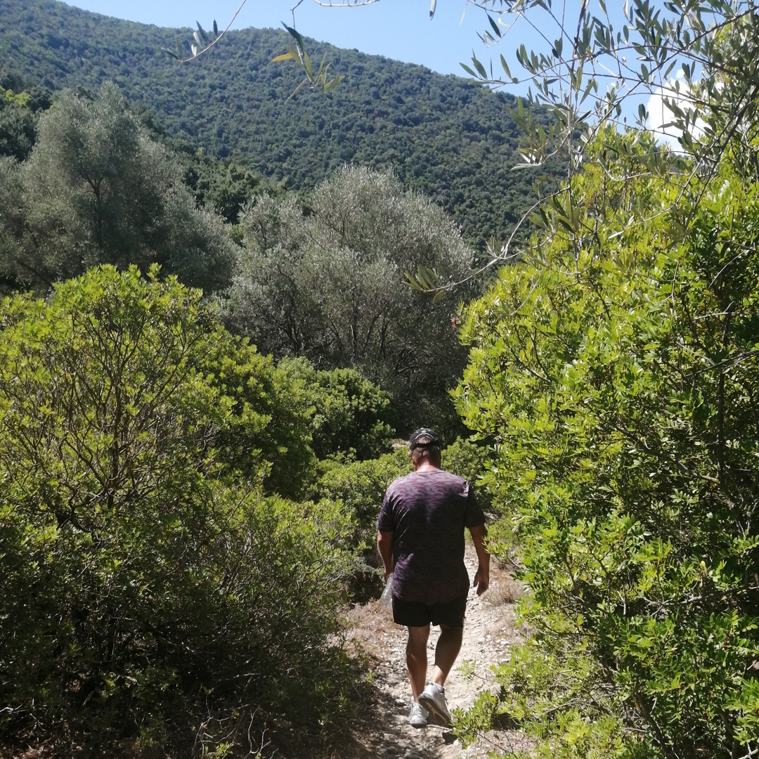 Walking Trails Ithaca Island